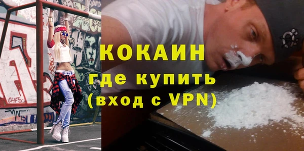 кокс Алексин