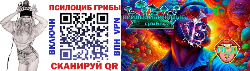 Галлюциногенные грибы Cubensis  Карабаш 